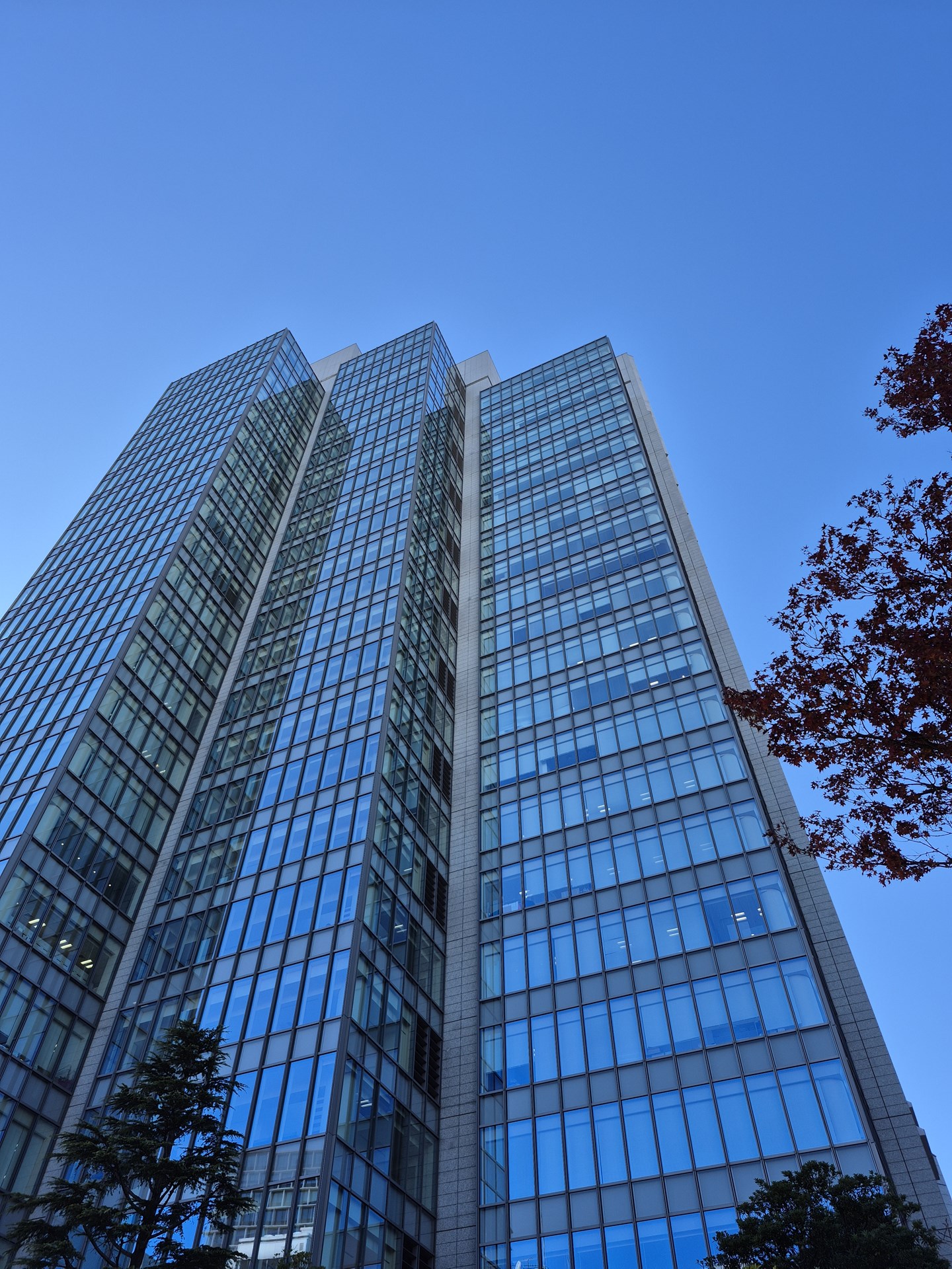 広角カメラ（×1）